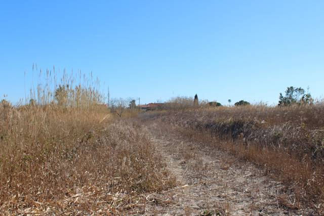 Terreno residencial en Venta en Estadio Castalia