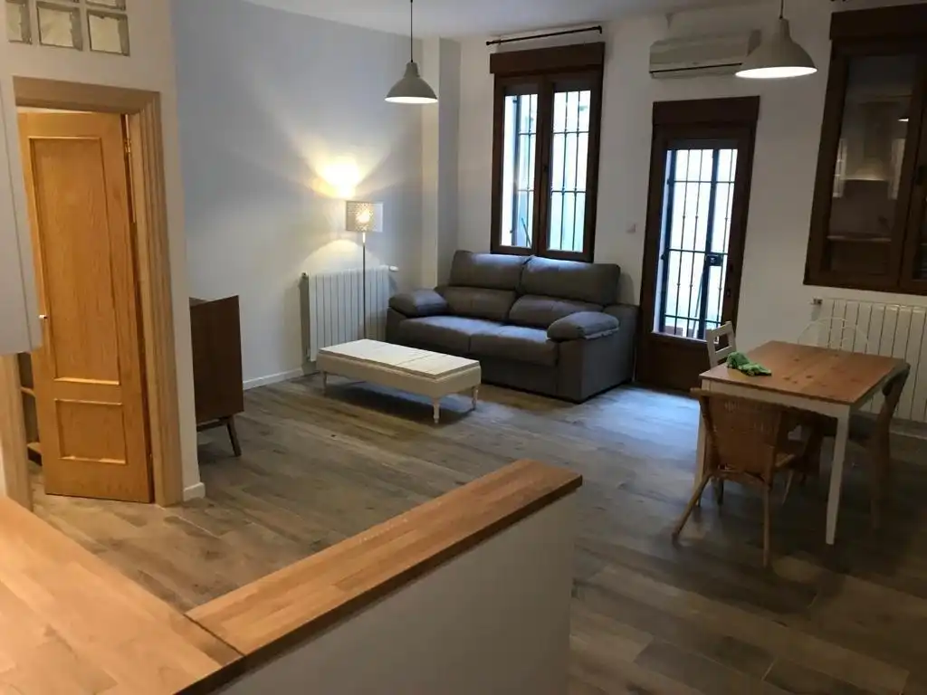 Sala d'estar de Planta baixa de lloguer en Granada amb Aire condicionat, Calefacció i Moblat