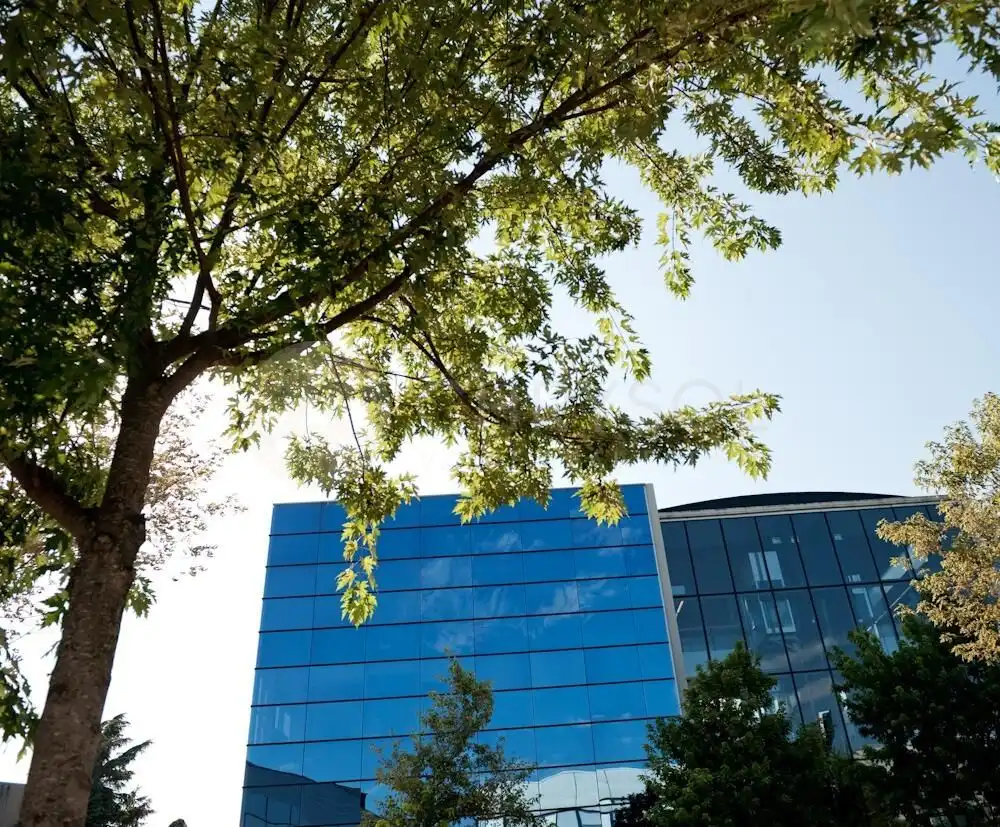 Office space with lift for sale in Avenida Avinguda Corts Catalanes, imagen 21