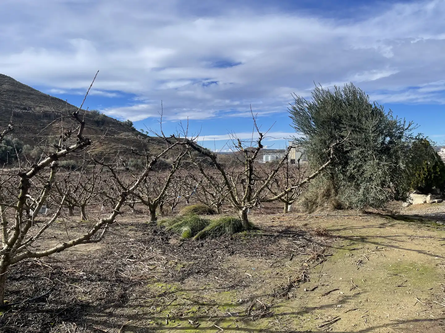 Land for sale in Fraga