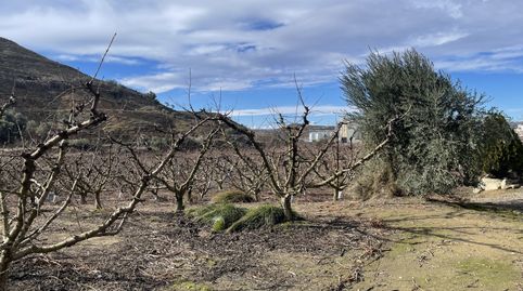 Imagen 5 del anuncio