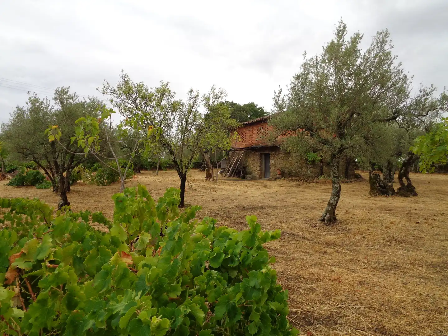 Residential for sale in Carretera de Pasaron, Tejeda de Tiétar