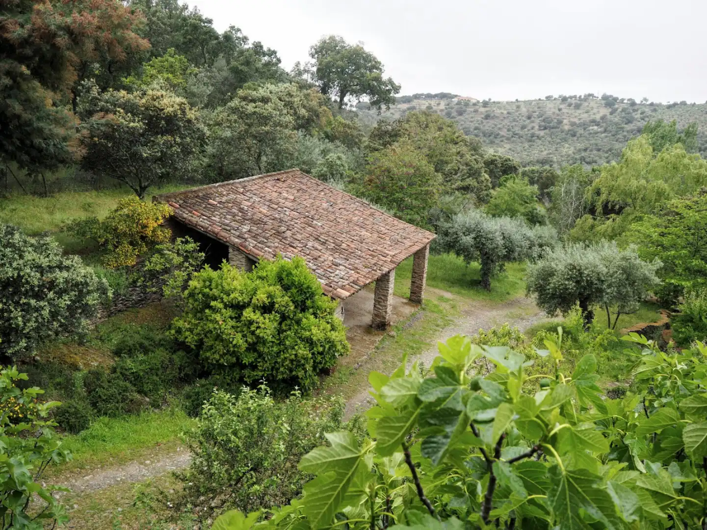 Houses for sale in Madroñera - LAS ANIMAS, Madroñera