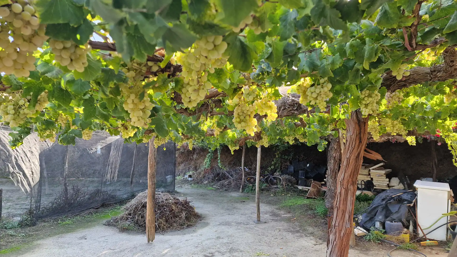 Finca rústica en venda en Canjáyar amb Jardí privat, Terrassa i Traster