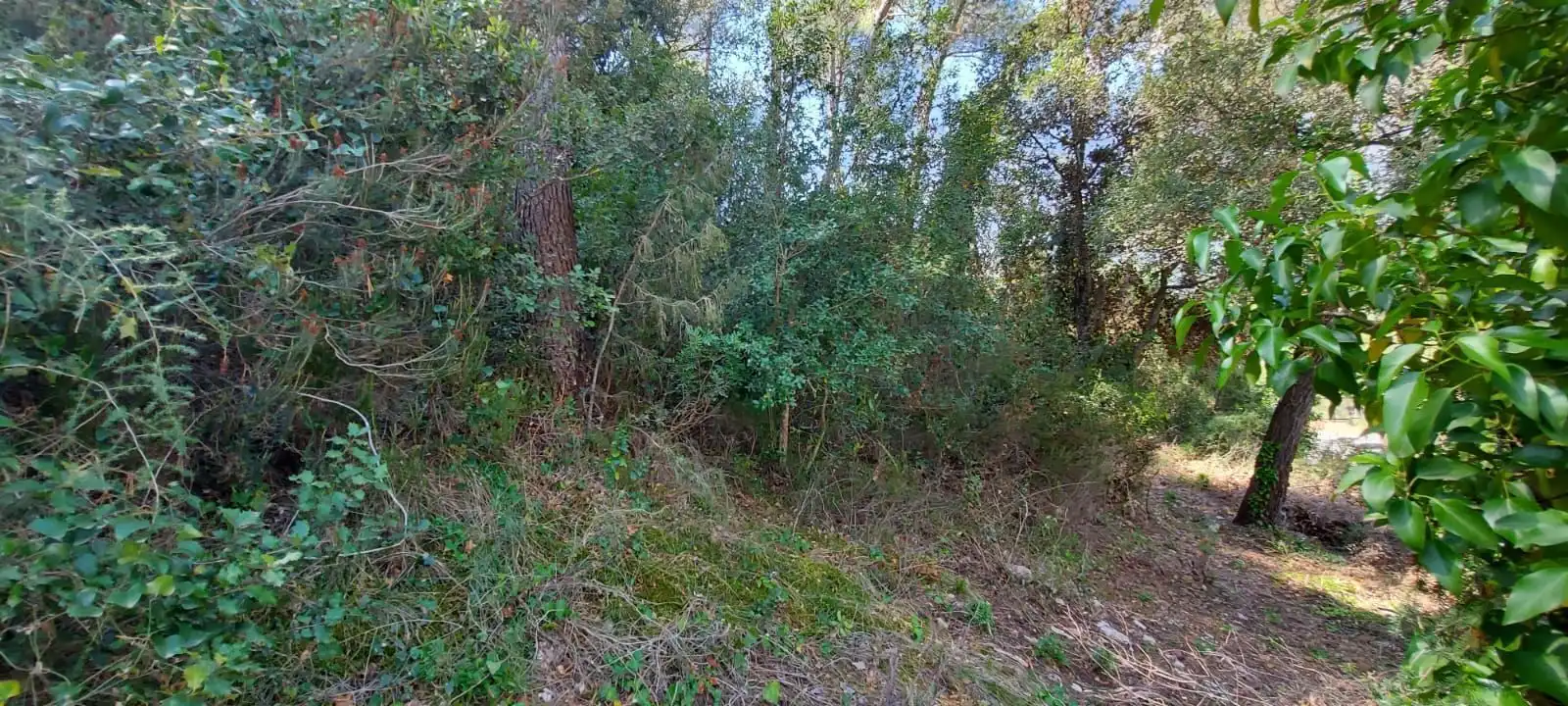Terrenos y solares en venta en Airesol, imagen 4