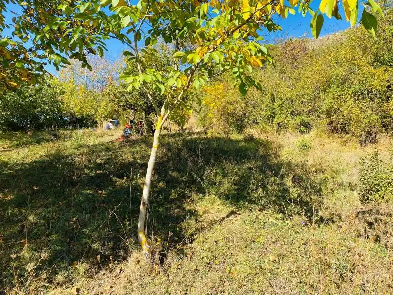 Terreno en venta en Zorraquín