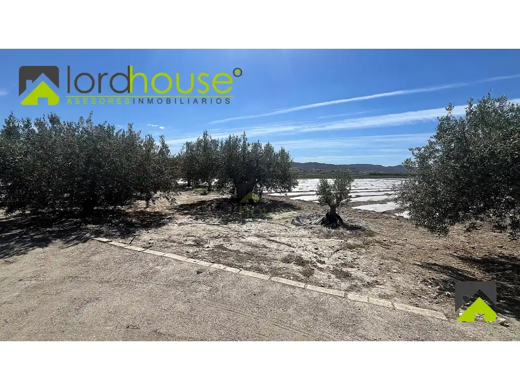 Casa o chalet en venta en Lorca