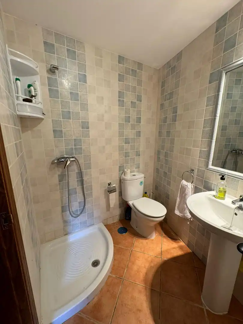 Bathroom of Detached homes for sale in Alocén  with Heating, Storage room and Balcony
