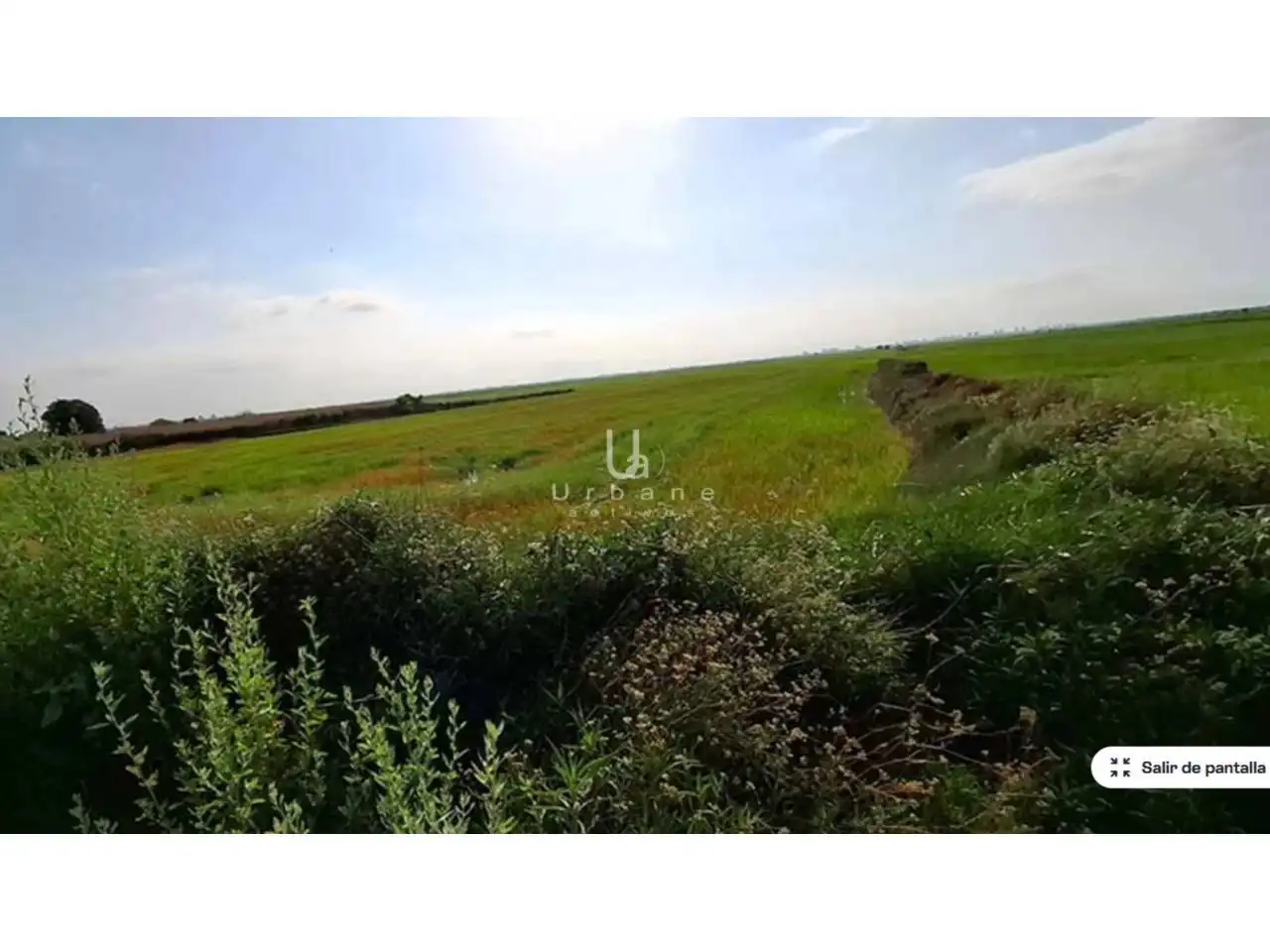 Rural land for sale in Camino Alter, imagen 6