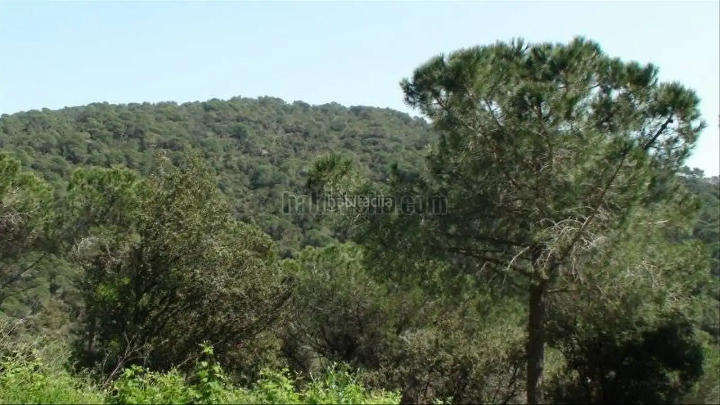 Wohnbaugrundstück zum Verkauf in Carrer de la Pedra 49, imagen 5