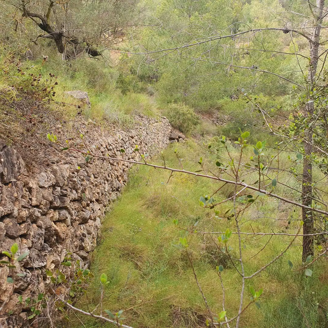 Terrain rustique à vendre à Benifallet, imagen 47