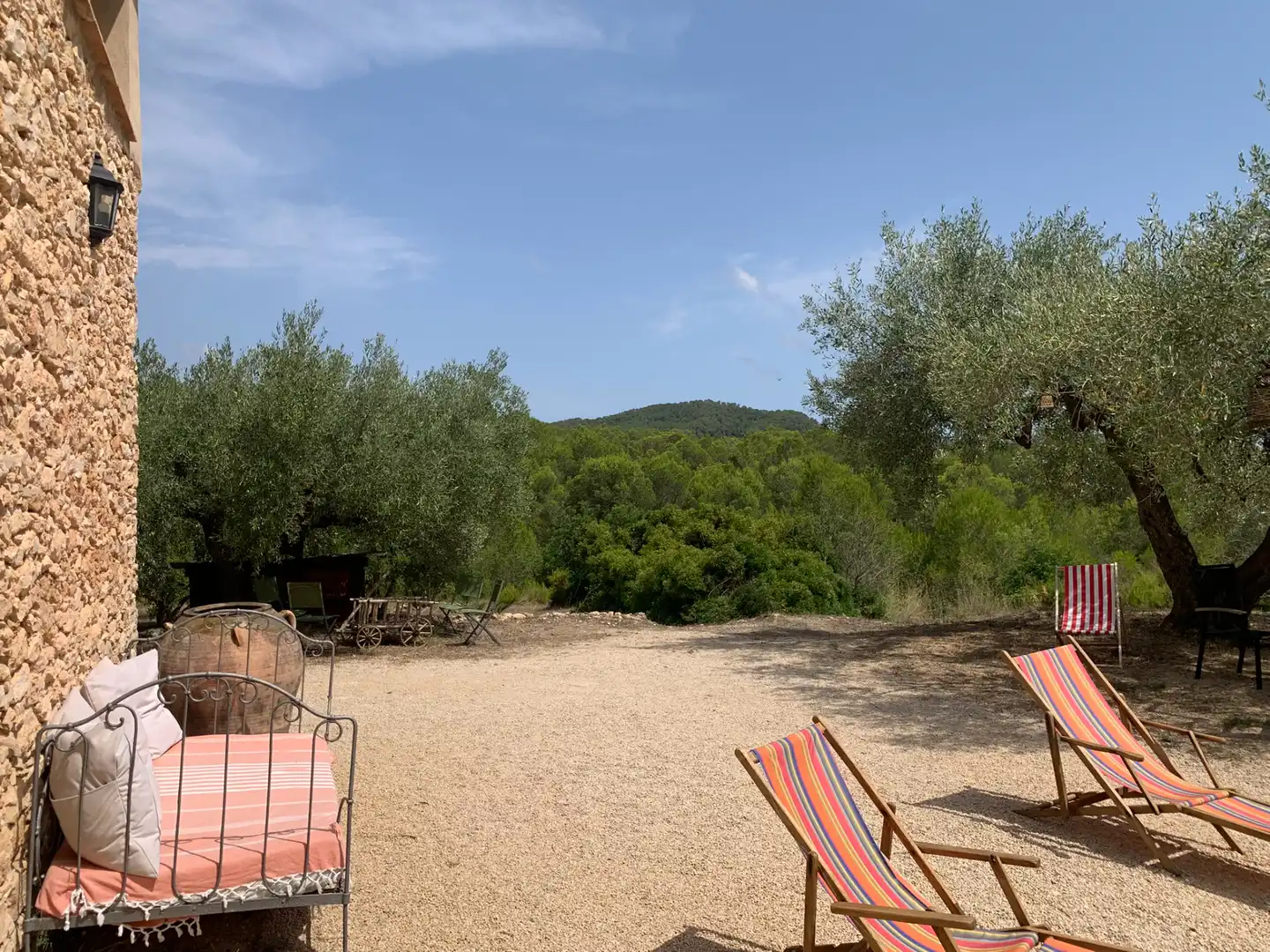 Garden of Country homes for sale in Tivissa  with Terrace