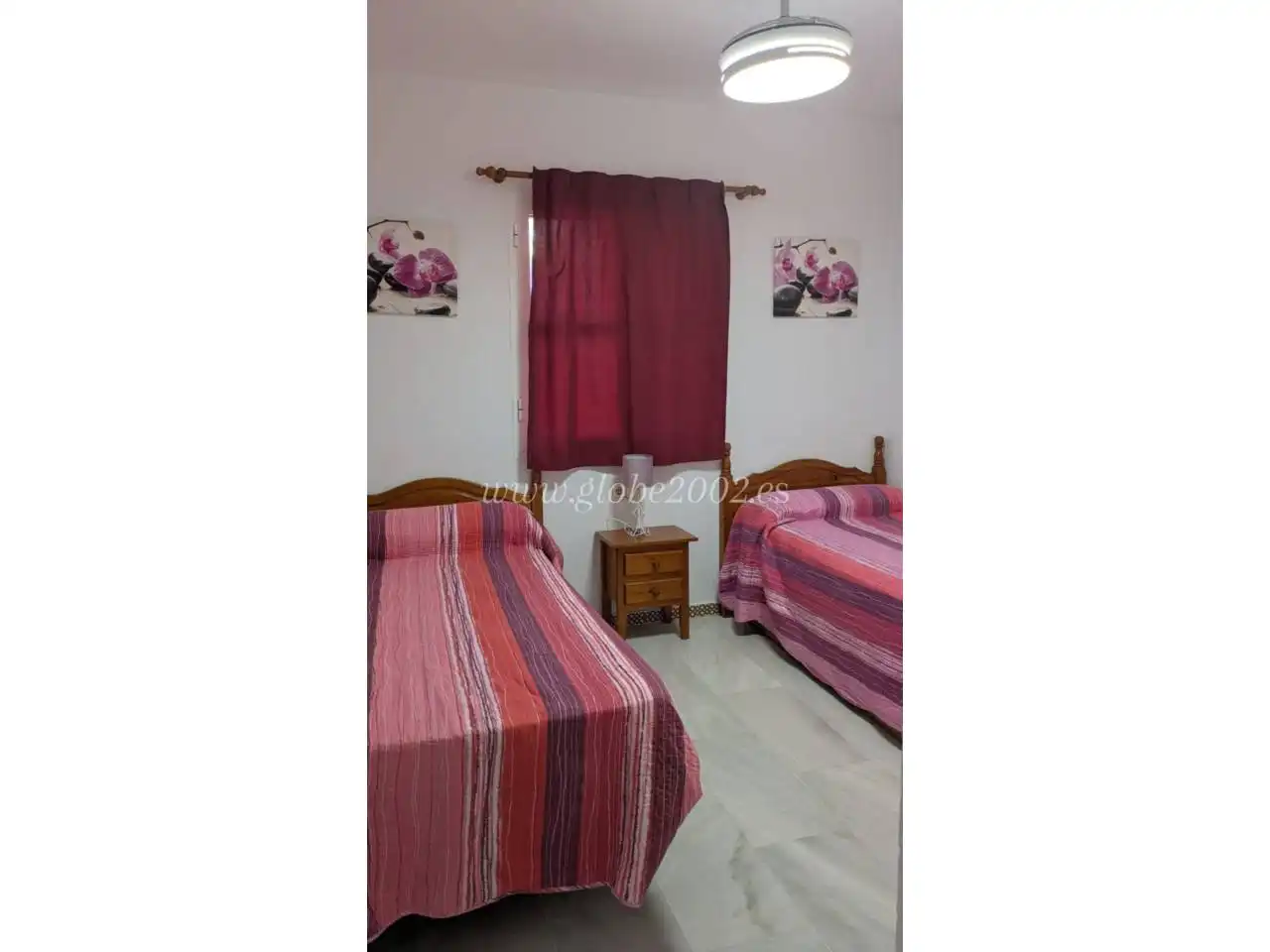 Apartment mit Terrasse zur Miete in Sancti Petri, imagen 11