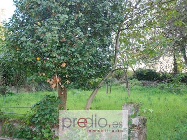 Adossat amb jardí en venda a Lugar Nadela