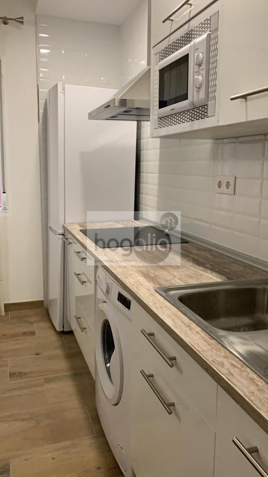 Planta baixa de lloguer a Tiro de Línea