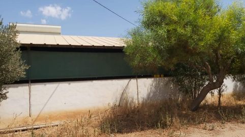 Foto 4 von Fabrikhallen zum Verkauf in La Pinilla - Las Palas, Fuente Álamo de Murcia