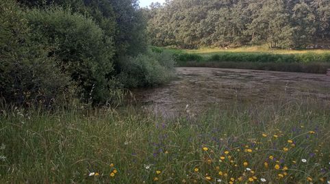 VENDE INMOEX FINCA EN JARANDILLA DE LA VERA , imagen 4