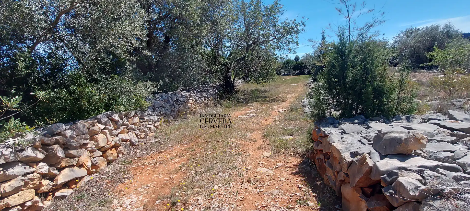 Terreno rustico in vendita a Cervera del Maestre, imagen 24