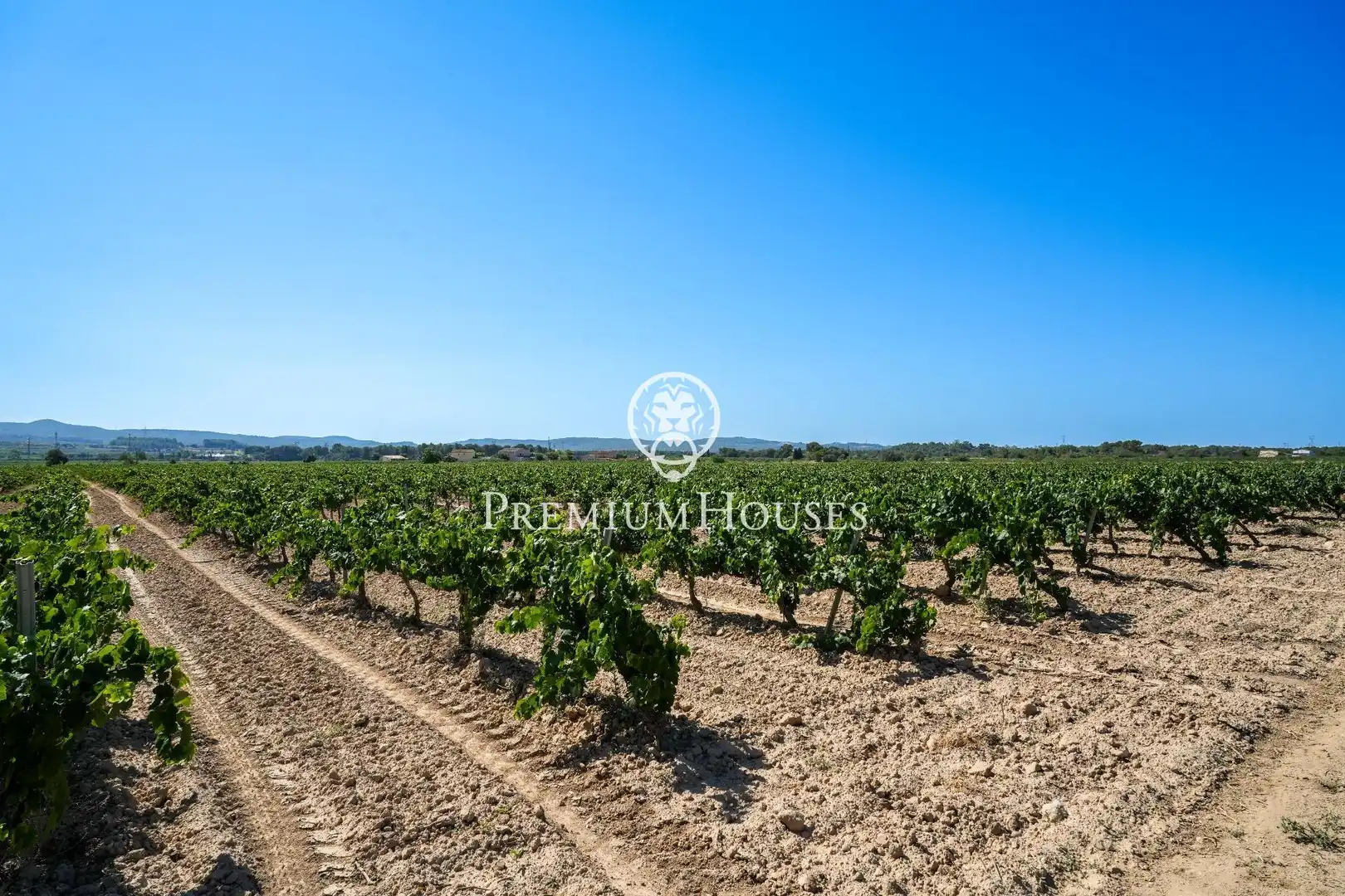 Casa rustica con terrazza in vendita a Castellet i la Gornal, imagen 9