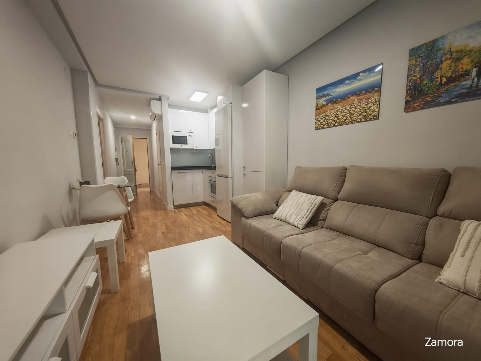 Living room of Apartment to rent in Zamora Capital   with Air Conditioner, Heating and Parquet flooring