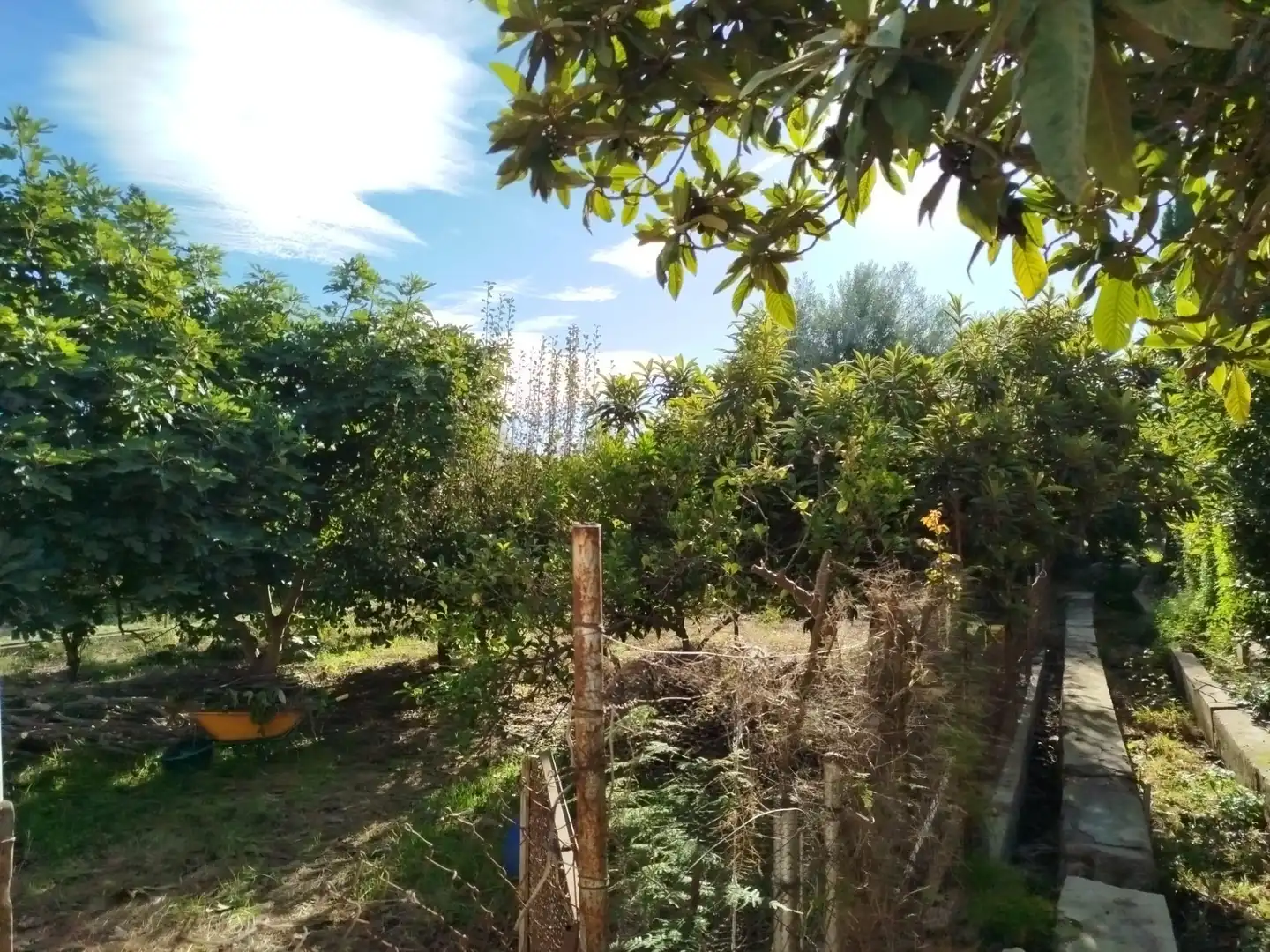 Country homes for sale in Murcia