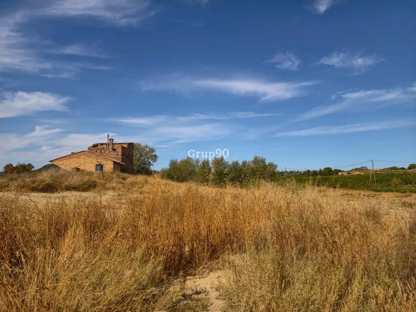 Terreno rústico en venta en Alpicat, imagen 11