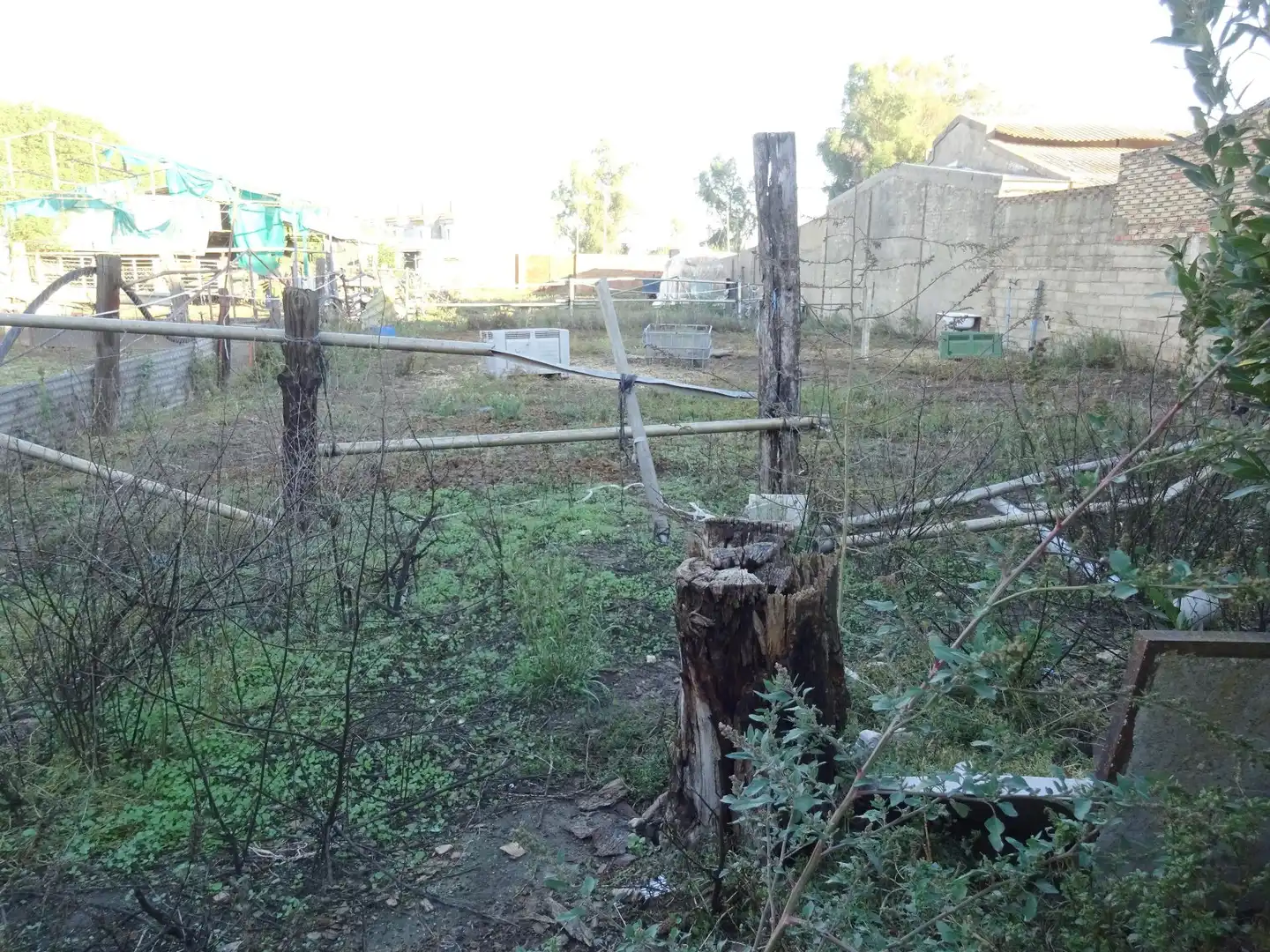 Industrial building for sale in Carretera Cr. Circunvalación CN 431, imagen 16