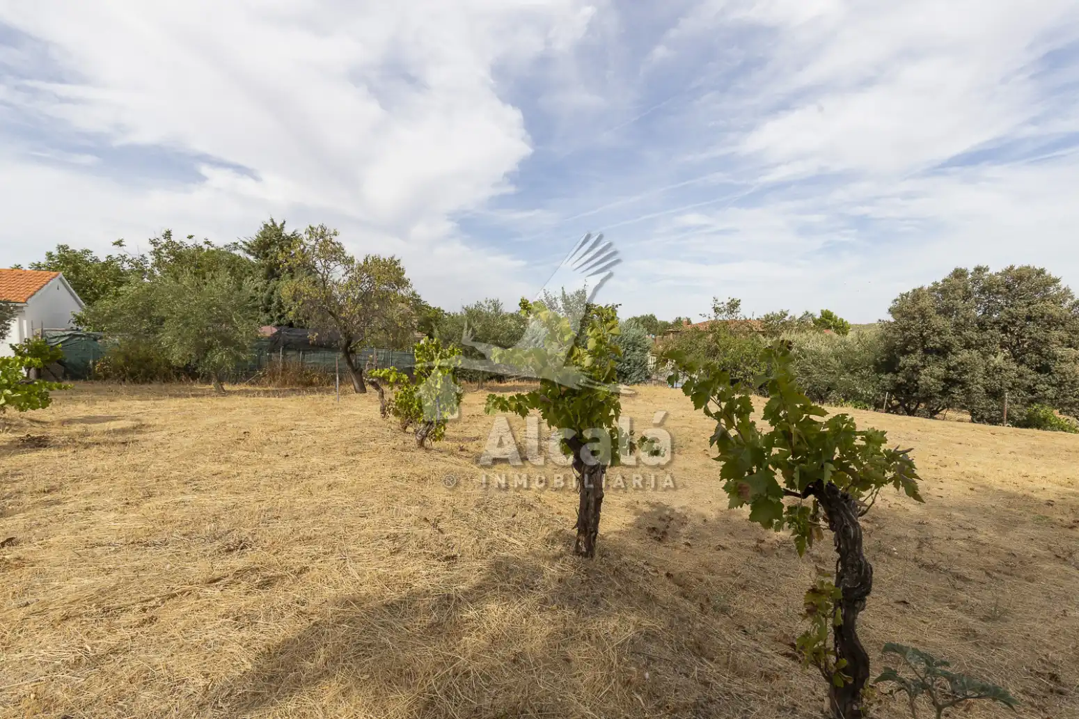 Maison à vendre à Camarma de Esteruelas, imagen 82