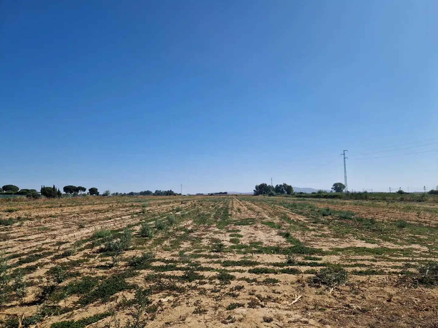 Finca rústica en venta en Jerez de la Frontera con Aire acondicionado, Calefacción y Piscina