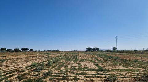 Foto 5 de Finca rústica en venda a Pozoalbero, Cádiz