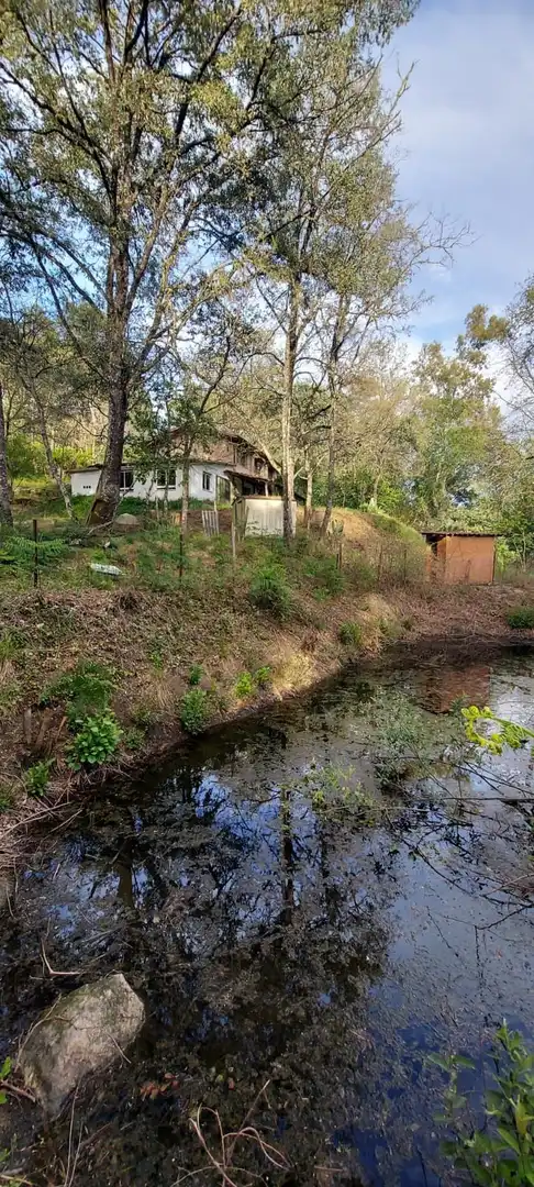 Houses for sale in Villanueva de la Vera