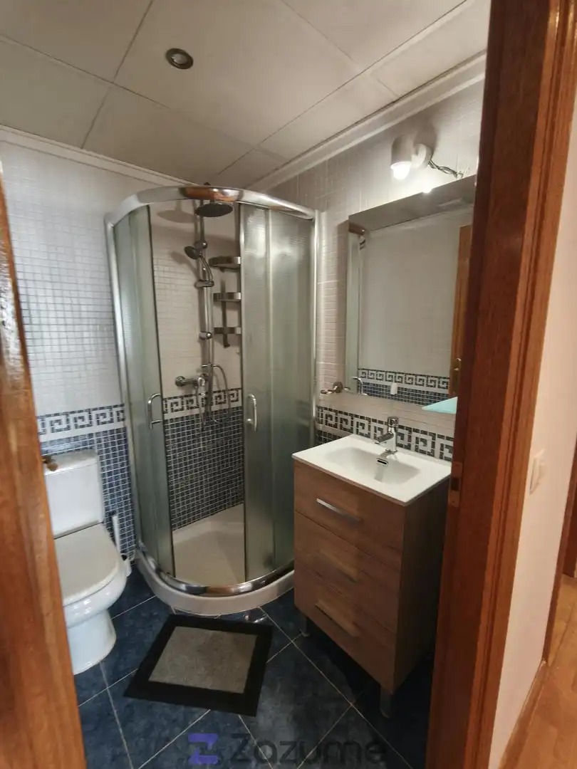 Badezimmer von Wohnungen zur Miete in Madrid mit Klimaanlage, Heizung und Privatgarten