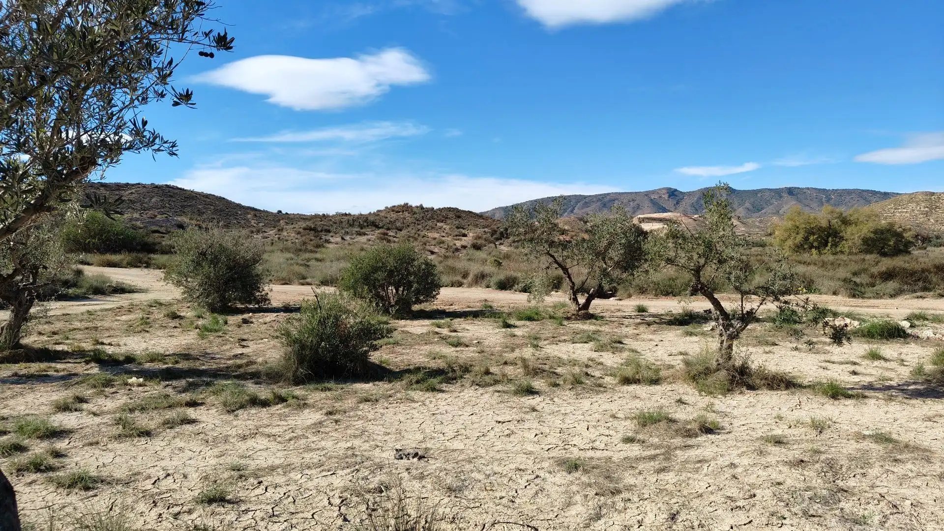 Terreno rustico in vendita a Campo Alto - Club de Campo, imagen 4