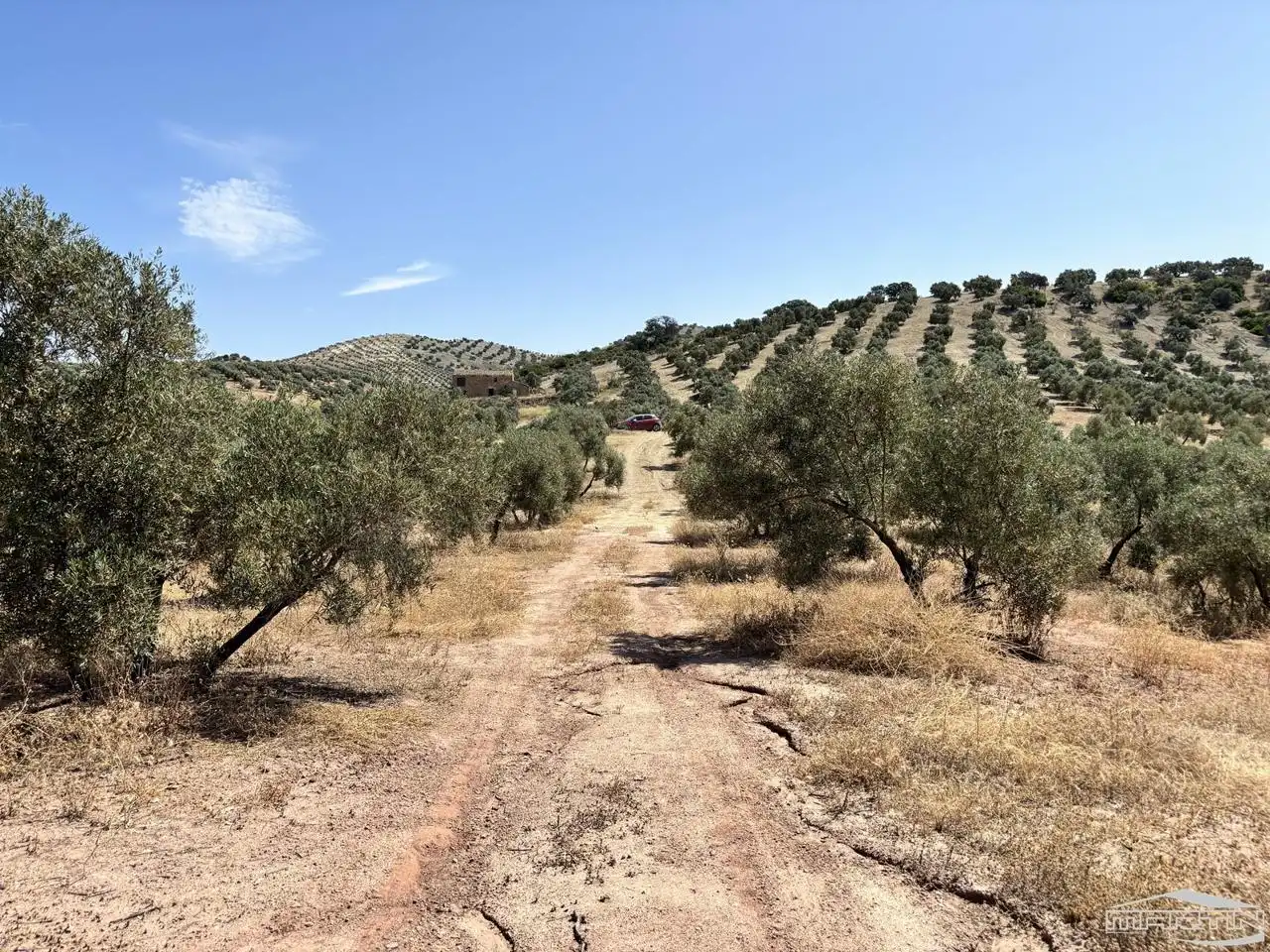 Terrain rustique à vendre à Paraje Las Colas, Pol.120, Par.80-49, imagen 10