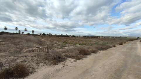 BONITA PARCELA CON VISTAS EN VENTA EN EL MOLAR, ELCHE Amplia parcela en venta en EL MOLAR, ELCHE Una increÃble oportunidad de adqu