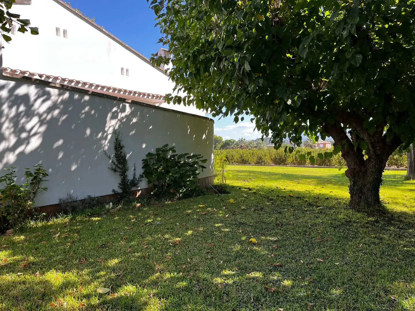 Jardí de Casa o xalet en venda en Ontinyent amb Calefacció, Jardí privat i Traster
