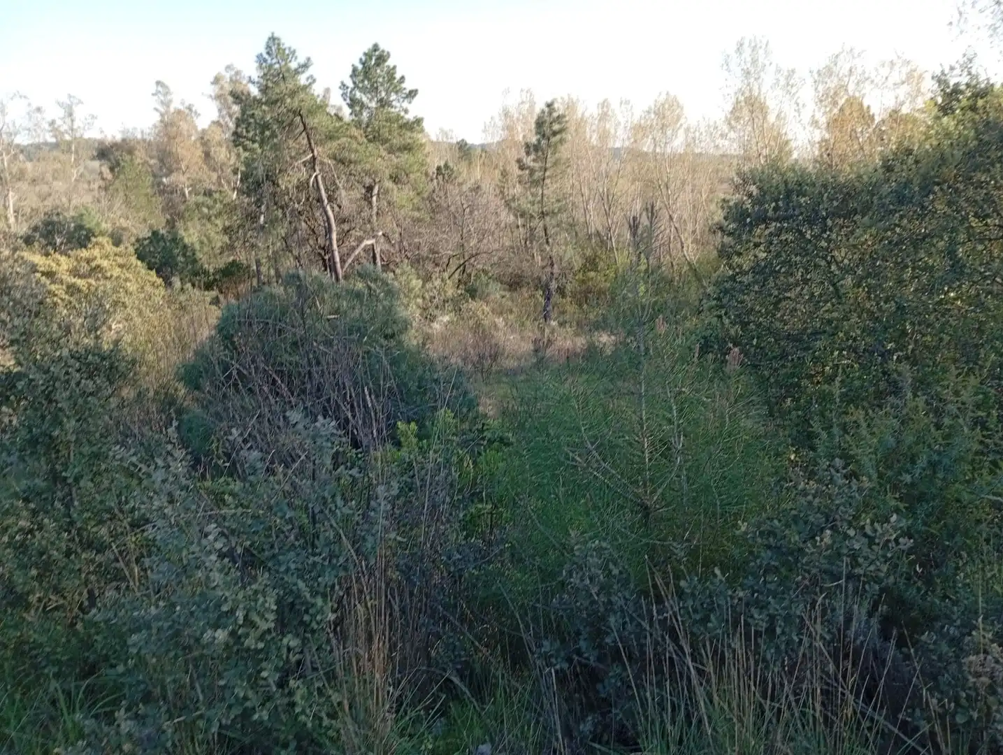 Terreni e lotti in vendita a Villanueva de la Vera, imagen 17