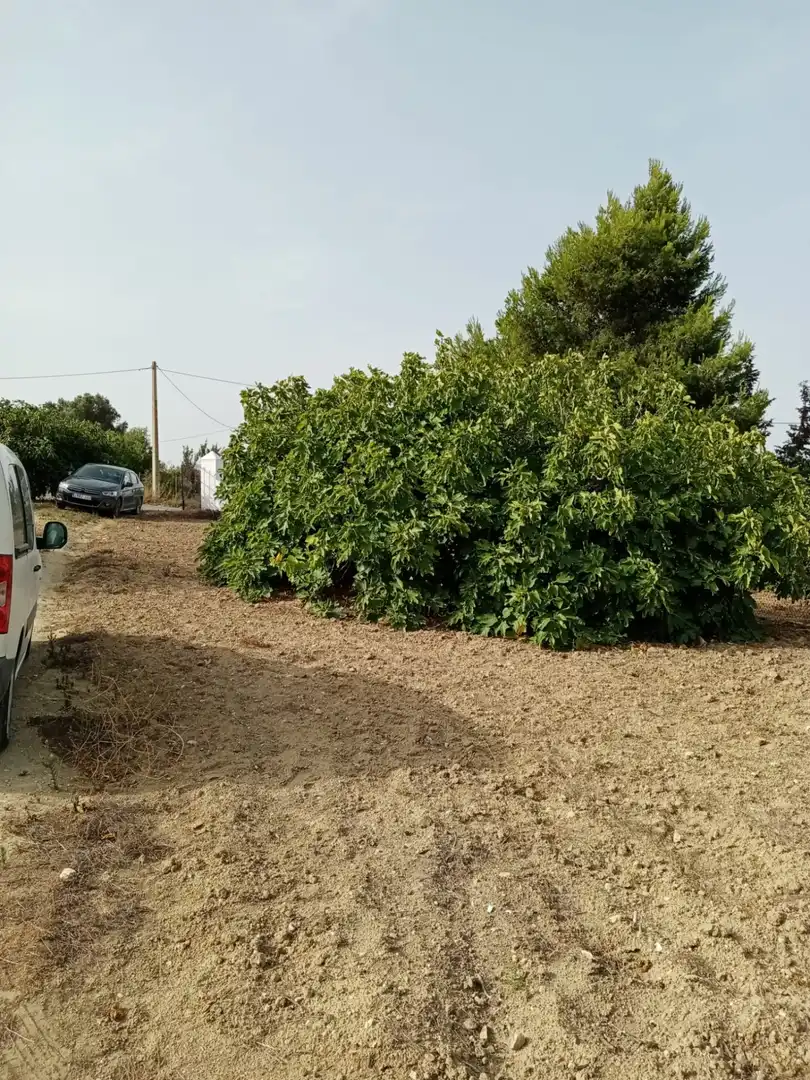 Terreny rústic en venda a Medina Sidonia, imagen 4
