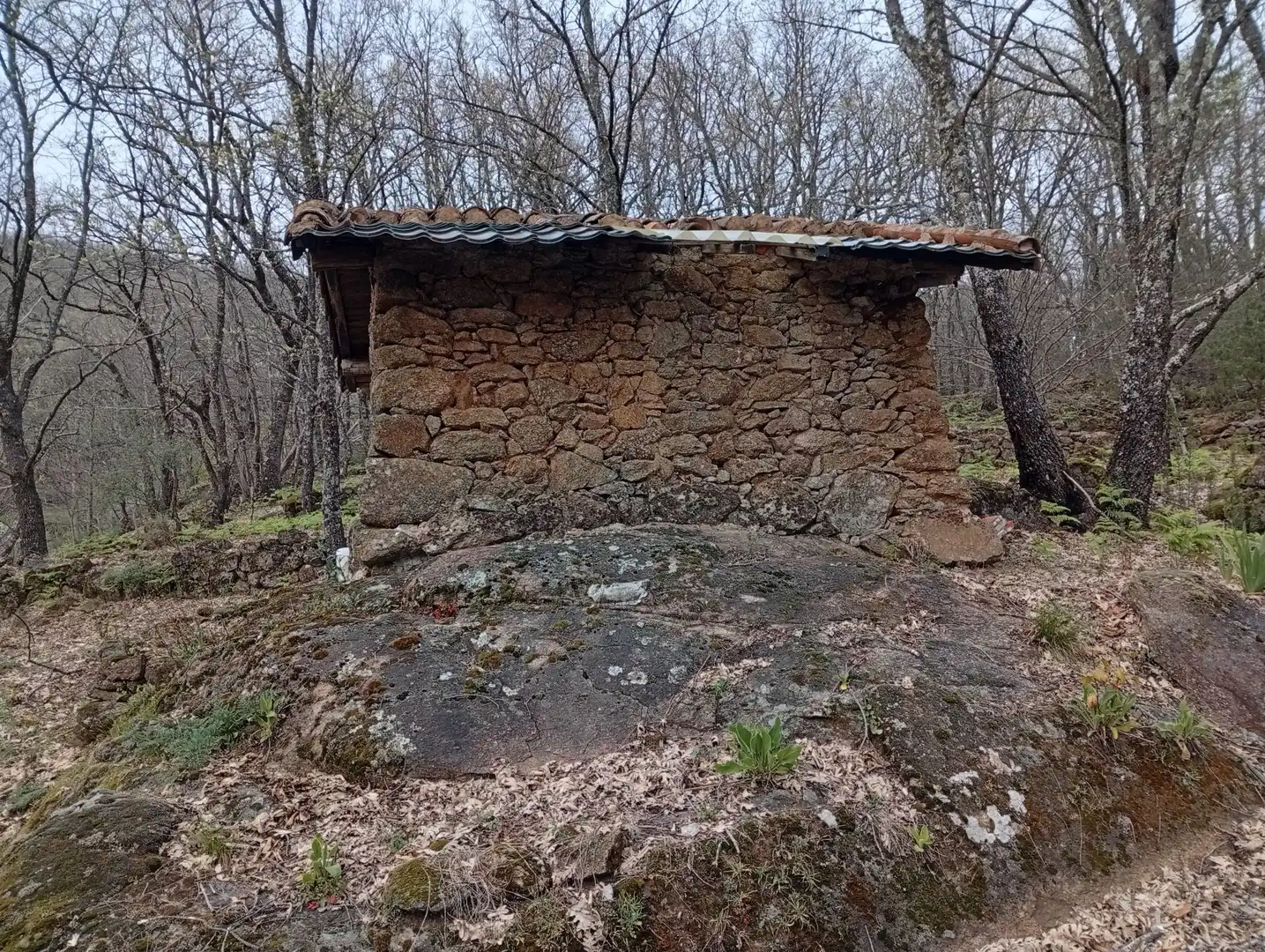 Terreni e lotti in vendita a Valverde de la Vera, imagen 113