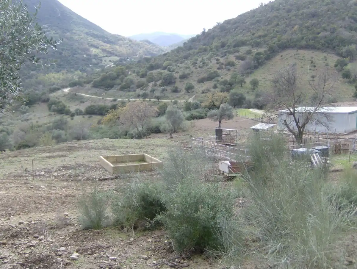Casa rústica en venda a Benaocaz, imagen 15