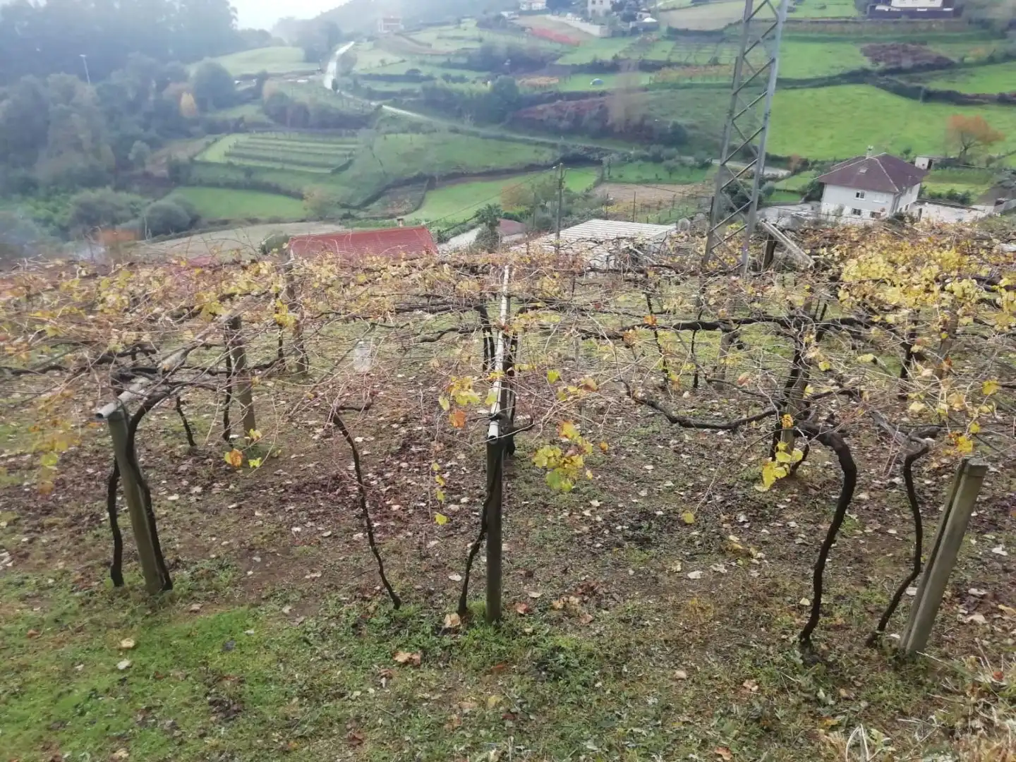 Terreno en venta en Campo Lameiro, Pontevedra