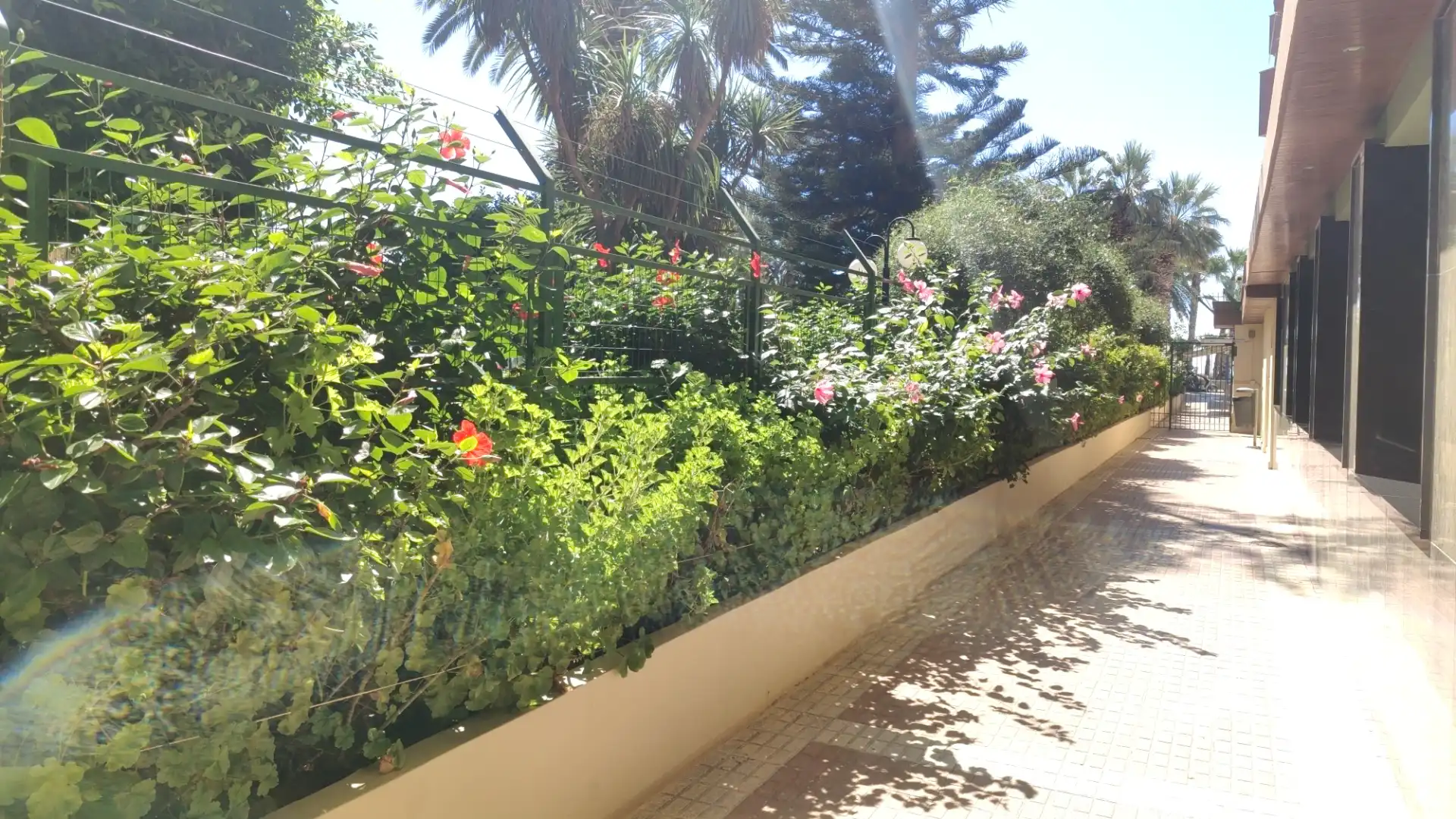 Appartement compact avec terrasse à vendre à Paseo Reina Sofía 3, imagen 15