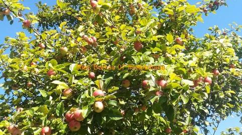 Foto 4 de Finca rústica en venta en Cabral - Candeán, Pontevedra