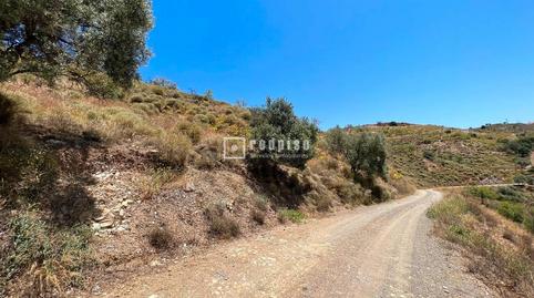 Foto 5 de Terreny industrial en venda a Moclinejo, Málaga