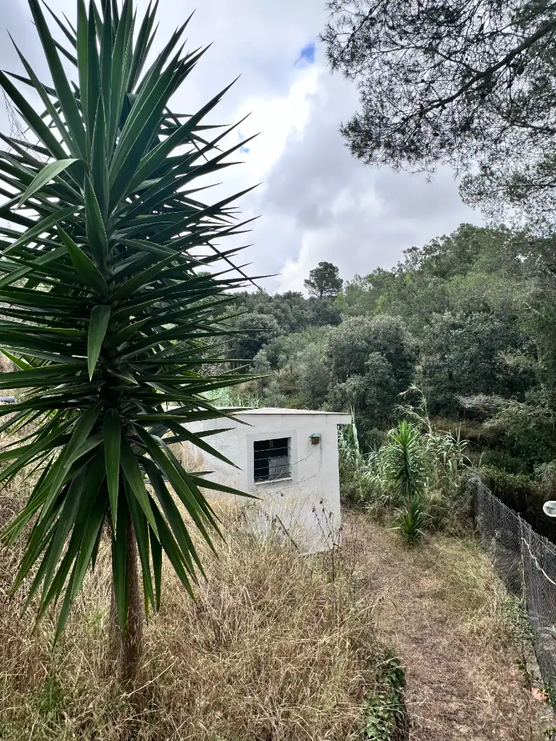 Houses for sale in Carrer Major, 10, Vilanova d'Escornalbou