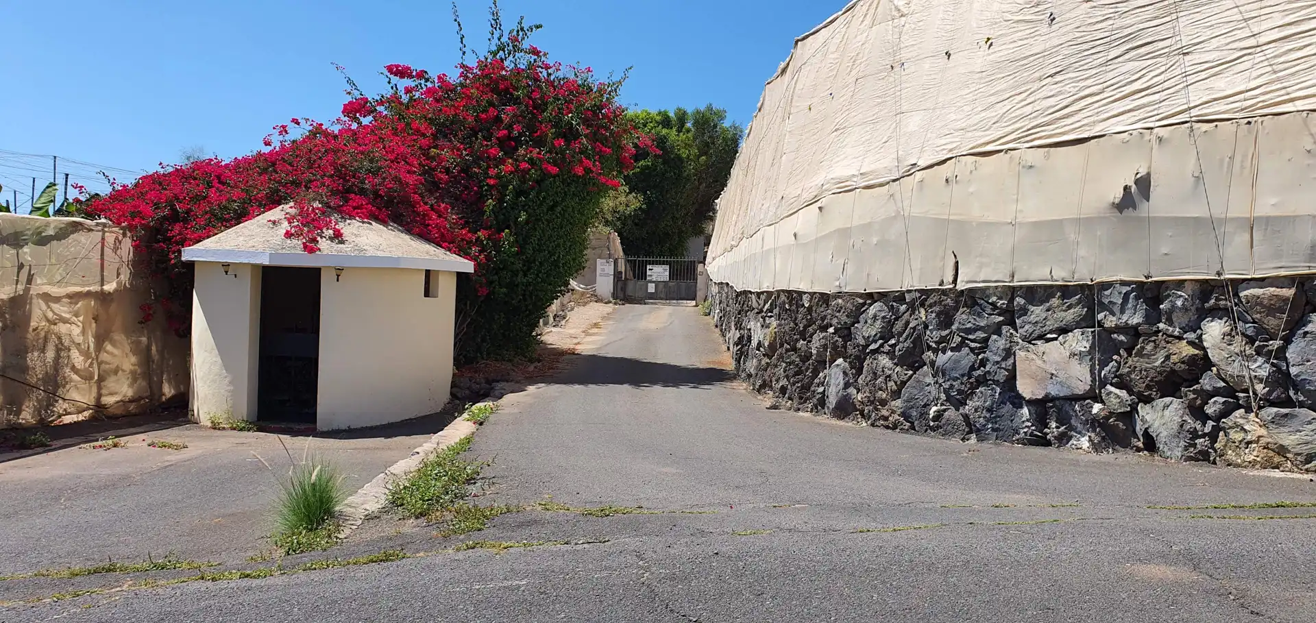 Terreny rústic en venda a Playa de San Juan, imagen 2