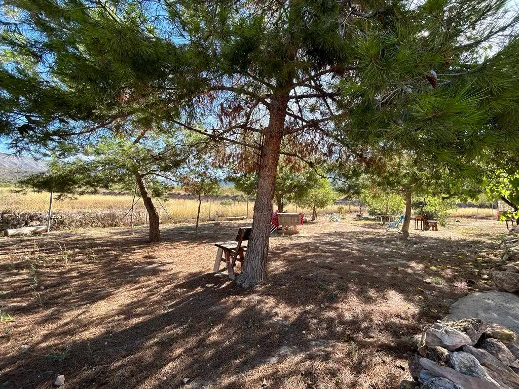 Finca rústica en venda en Orihuela