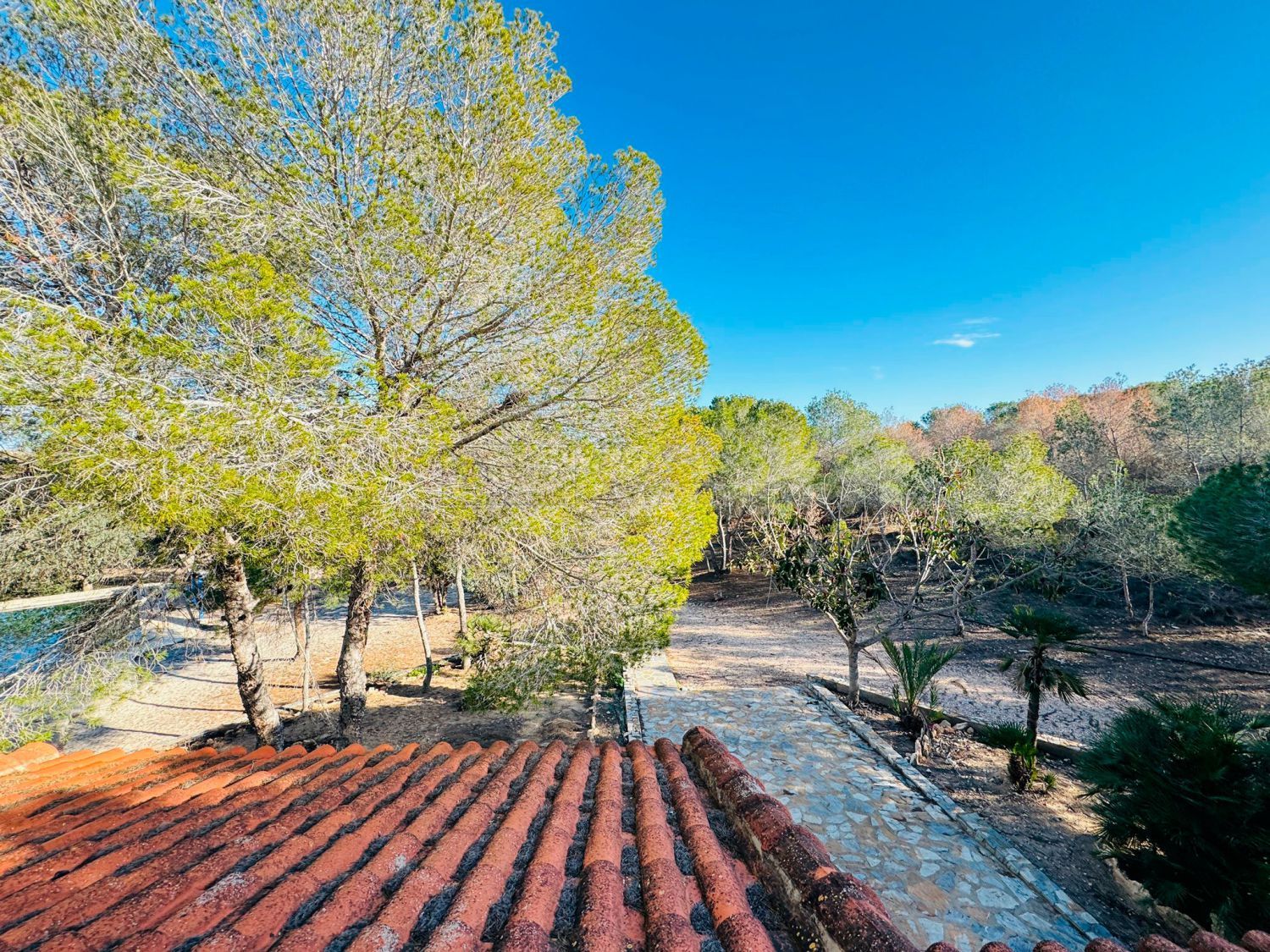 Garden of House or chalet for sale in Orihuela  with Private garden, Terrace and Furnished