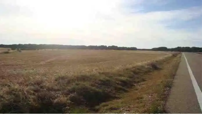 Rustikales Grundstück zum Verkauf in La Zarza (Valladolid), imagen 3