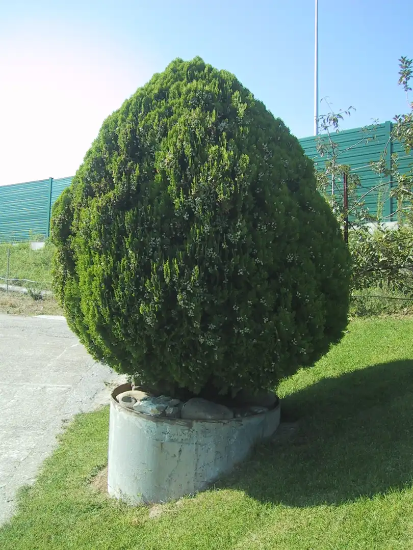 Garden of Land for sale in Donostia - San Sebastián 